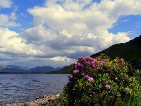 Maol Reidh Hotel