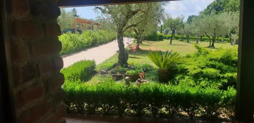 Agroturismo Agriturismo Il Castagneto