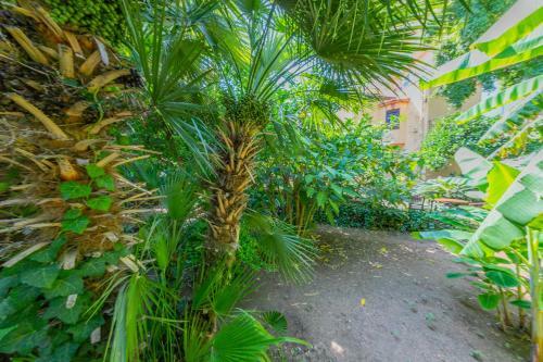 Apartamento Rentopolis Villa Mezzarancia