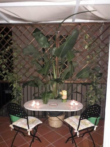 Camid� Boutique House