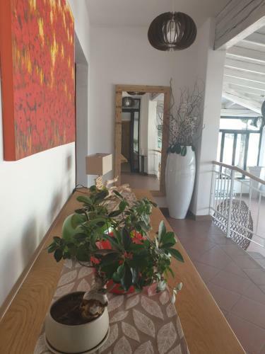Hotel La Favorita