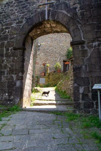 Casa Il Sogno