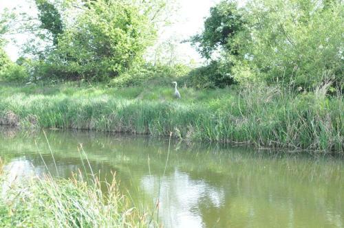 Bridge Bed And Breakfast