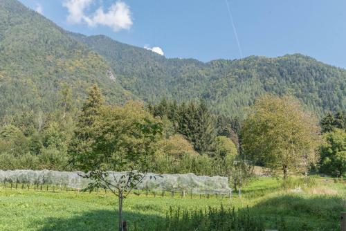 Apartamento Appartamento Adamello 12