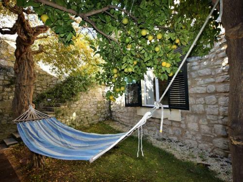 Beautiful Holiday Home In Ragusa With Heating