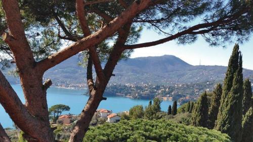 Entire Villa With Pool In Recco Cinque Terre