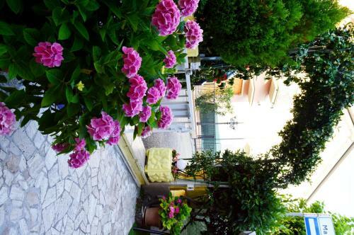 Hostal New Hotel Cirene Single Room Half Pension