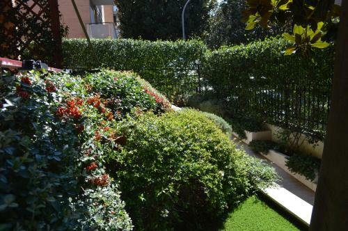 Hostal Il Giardino Delle Tartarughe