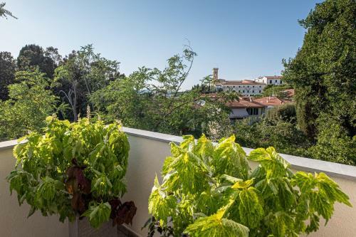 Hostal La Villa 31 - Rosignano Marittimo -