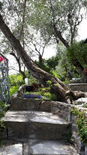 Terrace And Garden Santa Margherita - Ap2b