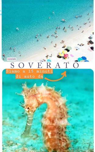 Bed & Breakfast Le Vie Mediterranee
