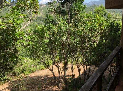 Apartamento Il Boschetto Dei Corbezzoli Villetta 4
