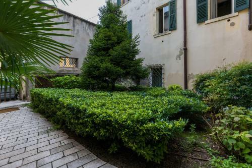Apartamento Domus Athesis Al Teatro Romano