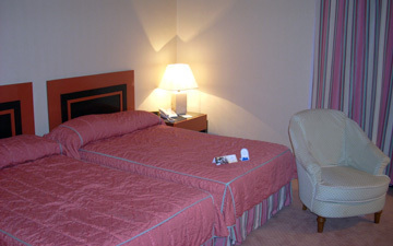 Palace Hotel