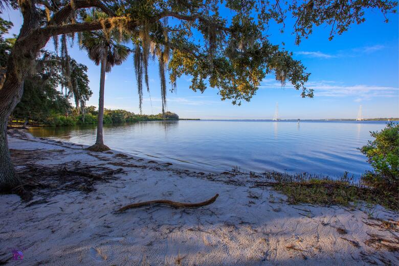 Holiday Inn Express Hotel & Suites Oldsmar