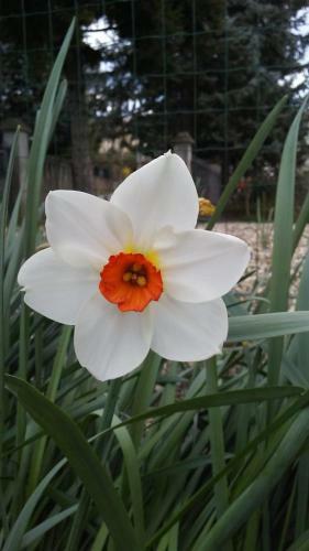 Casa Tea Bed And Breakfast & Esmeralda Home Restaurant