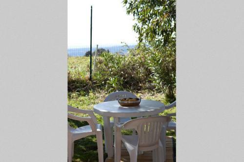 Agroturismo Agriturismo Antico Podere Il Polveraio