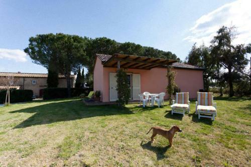 Agroturismo Agriturismo Antico Podere Il Polveraio