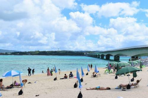 Kunigami-gun - House / Vacation Stay 2562