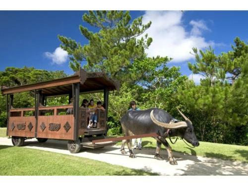Invest House - Vacation Stay 83683