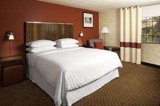 Hotel Holiday Inn San Jose Silicon Valley