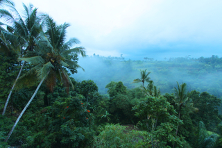 Bali Rich Luxury Villas & Spa Ubud