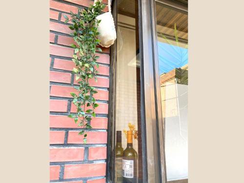 Apartamento Terrace In Mincho House
