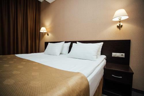 Hotel Aner