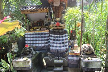 Hostal Gusti's Garden Bungalows