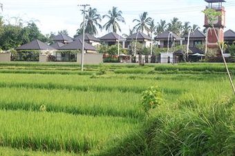 Hotel Onje Villa