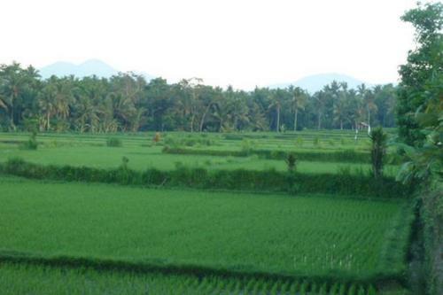 Bali Harmony Villa