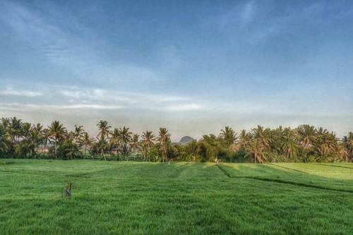 Bali Harmony Villa