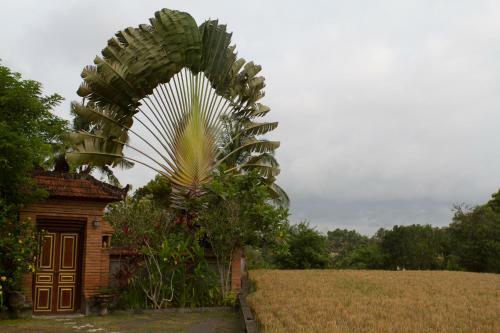 Hostal Rumah Sungai Villa