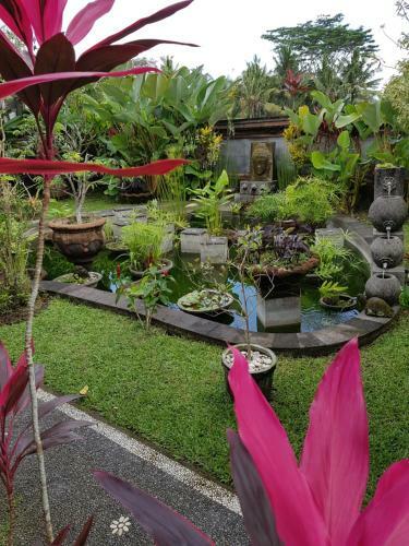 Hostal Rumah Sungai Villa