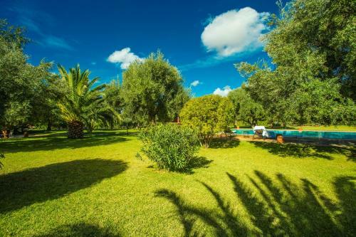 Villa Les Oliviers - A Setting Of Tranquility