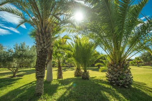 Villa Les Oliviers - A Setting Of Tranquility