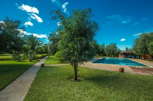 Villa Les Oliviers - A Setting Of Tranquility