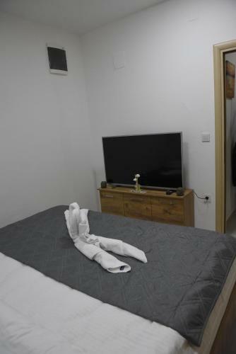 Luxury Apartment City Center