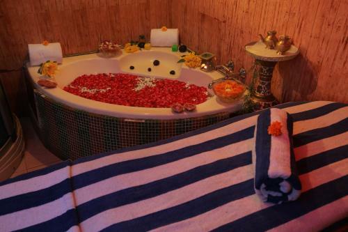 Hotel Country Inn & Suites By Carlson Haridwar