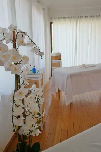 Camino Mexicano Hotel & Resort