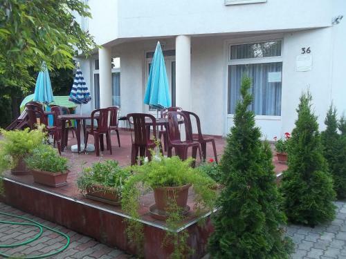 Apartman P�vai
