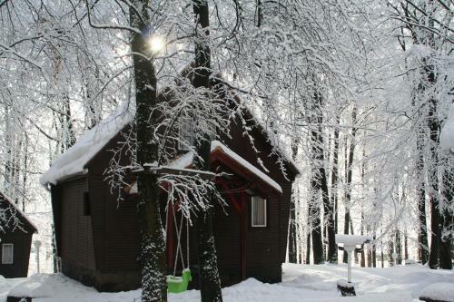 Lodge Dar�zshegyi Apartmanh�z