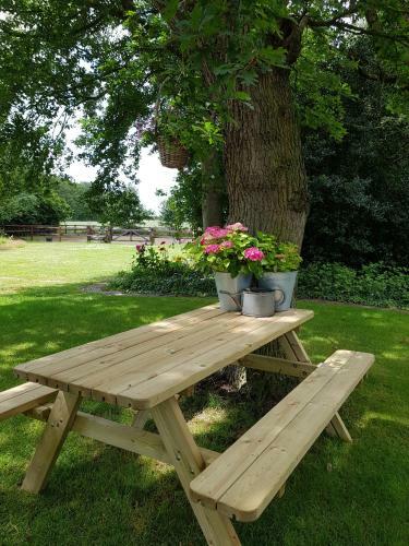Bed & Breakfast Bij Saar