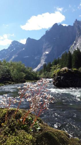 Lodge Trollveggen Camping