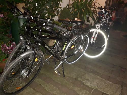 Bed & Breakfast F�nagy �s Walter Vend�g- �s Borh�z