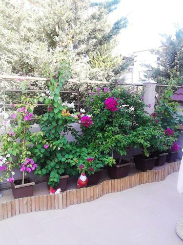Apartamento Villa Emmanouela Studios - Family Accommodation