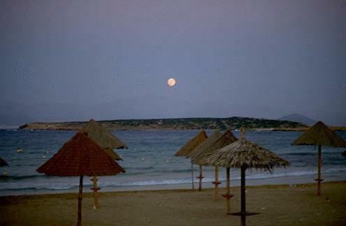 Albergue Surfing Beach Huts
