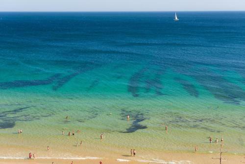 Apartamento Sol & Cidade 73 By Destination Algarve
