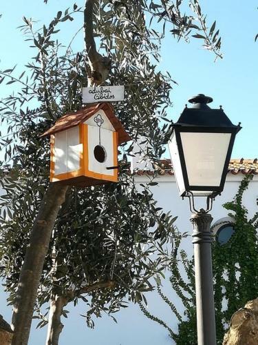 Adubai Obidos
