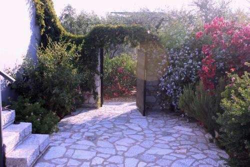 The Olive Grove Boutique Villas